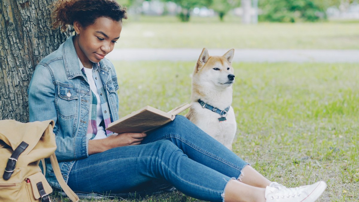 Loyal dog staying close to its owner in the park
